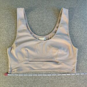 Aritzia crop top